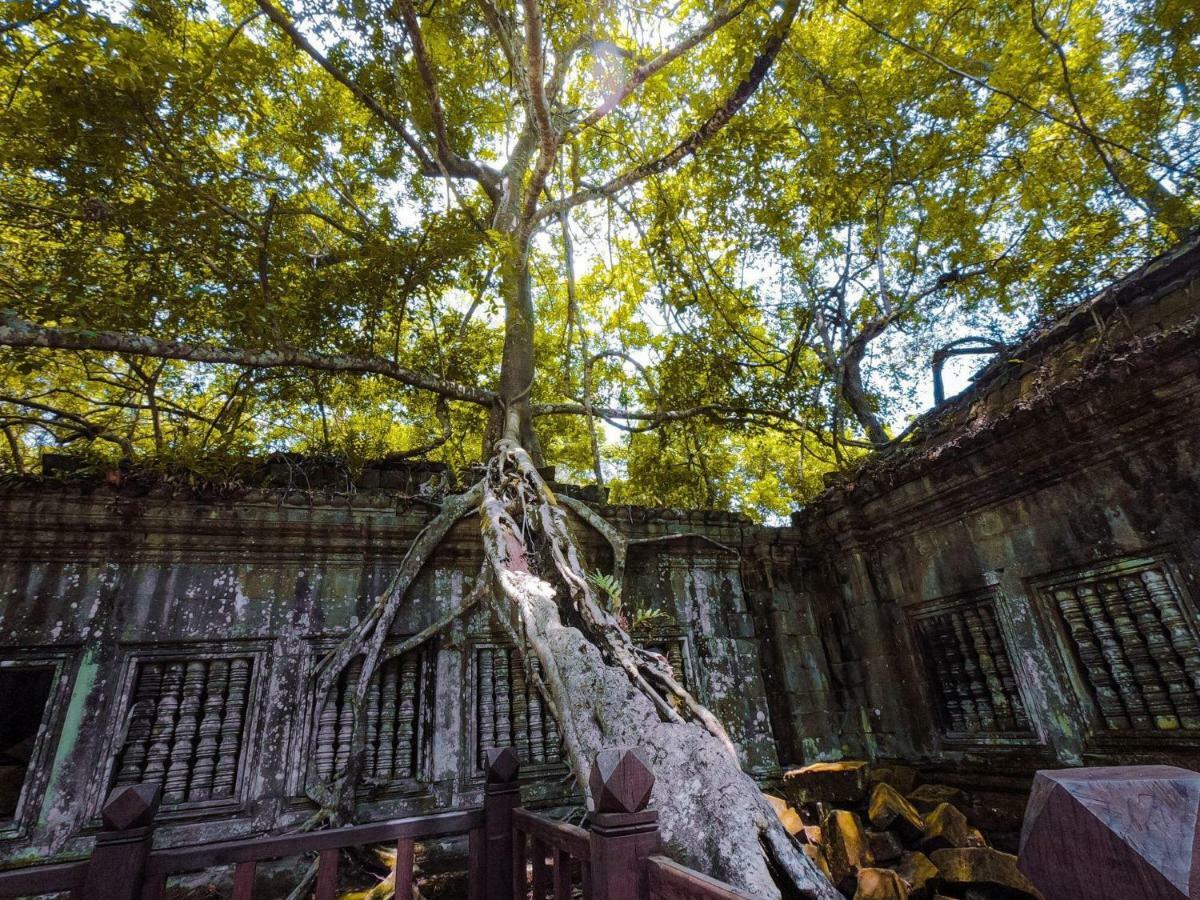 Anachak Angkor Residence Σιέμ Ρέαπ Εξωτερικό φωτογραφία